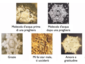 __masaru_emoto001_med (1)