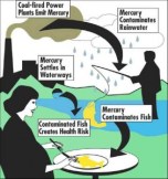 406554f2745fd65a6a3291a195225717